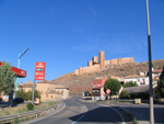 Pardos Guadalajara y Ojos Negros Teruel