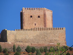 Pardos Guadalajara y Ojos Negros Teruel