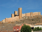 Pardos Guadalajara y Ojos Negros Teruel