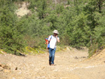 Pardos Guadalajara y Ojos Negros Teruel