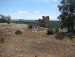 Pardos Guadalajara y Ojos Negros Teruel