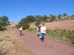 Pardos Guadalajara y Ojos Negros Teruel