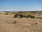 Pardos Guadalajara y Ojos Negros Teruel