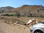 Pardos Guadalajara y Ojos Negros Teruel