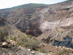     Pardos Guadalajara y Ojos Negros Teruel