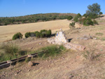 Pardos Guadalajara y Ojos Negros Teruel