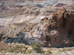     Pardos Guadalajara y Ojos Negros Teruel