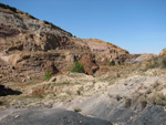     Pardos Guadalajara y Ojos Negros Teruel