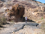     Pardos Guadalajara y Ojos Negros Teruel