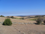 Pardos Guadalajara y Ojos Negros Teruel