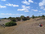 Pardos Guadalajara y Ojos Negros Teruel