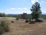 Pardos Guadalajara y Ojos Negros Teruel