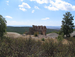 Pardos Guadalajara y Ojos Negros Teruel