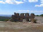 Pardos Guadalajara y Ojos Negros Teruel