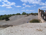 Pardos Guadalajara y Ojos Negros Teruel