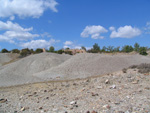  Pardos Guadalajara y Ojos Negros Teruel 