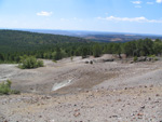  Pardos Guadalajara y Ojos Negros Teruel 