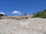 Pardos Guadalajara y Ojos Negros Teruel