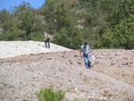 Pardos Guadalajara y Ojos Negros Teruel