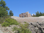 Pardos Guadalajara y Ojos Negros Teruel