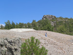 Pardos Guadalajara y Ojos Negros Teruel