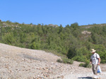  Pardos Guadalajara y Ojos Negros Teruel