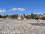  Pardos Guadalajara y Ojos Negros Teruel