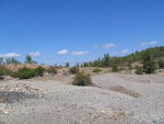  Pardos Guadalajara y Ojos Negros Teruel