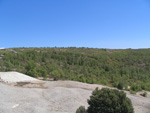  Pardos Guadalajara y Ojos Negros Teruel