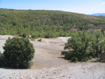  Pardos Guadalajara y Ojos Negros Teruel