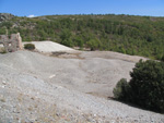  Pardos Guadalajara y Ojos Negros Teruel