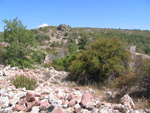  Pardos Guadalajara y Ojos Negros Teruel