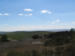  Pardos Guadalajara y Ojos Negros Teruel