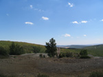  Pardos Guadalajara y Ojos Negros Teruel