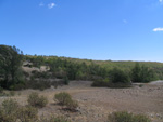  Pardos Guadalajara y Ojos Negros Teruel