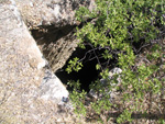  Pardos Guadalajara y Ojos Negros Teruel