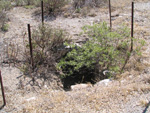  Pardos Guadalajara y Ojos Negros Teruel