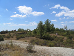  Pardos Guadalajara y Ojos Negros Teruel