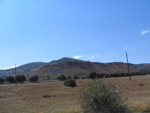   Pardos Guadalajara y Ojos Negros Teruel