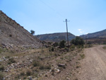  Pardos Guadalajara y Ojos Negros Teruel