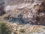  Pardos Guadalajara y Ojos Negros Teruel