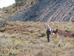  Pardos Guadalajara y Ojos Negros Teruel