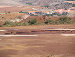  Pardos Guadalajara y Ojos Negros Teruel