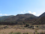  Pardos Guadalajara y Ojos Negros Teruel