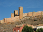  Pardos Guadalajara y Ojos Negros Teruel