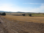  Pardos Guadalajara y Ojos Negros Teruel