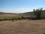  Pardos Guadalajara y Ojos Negros Teruel