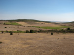  Pardos Guadalajara y Ojos Negros Teruel