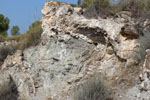 Grupo Mineralógico de Alicante.Pitón Volcánico de Cancarix. Cancarix. Albacete