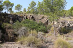 Grupo Mineralógico de Alicante.Pitón Volcánico de Cancarix. Cancarix. Albacete